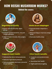 Reishi mushroom (vegetable) capsules - 300 mg | SANUSq Health