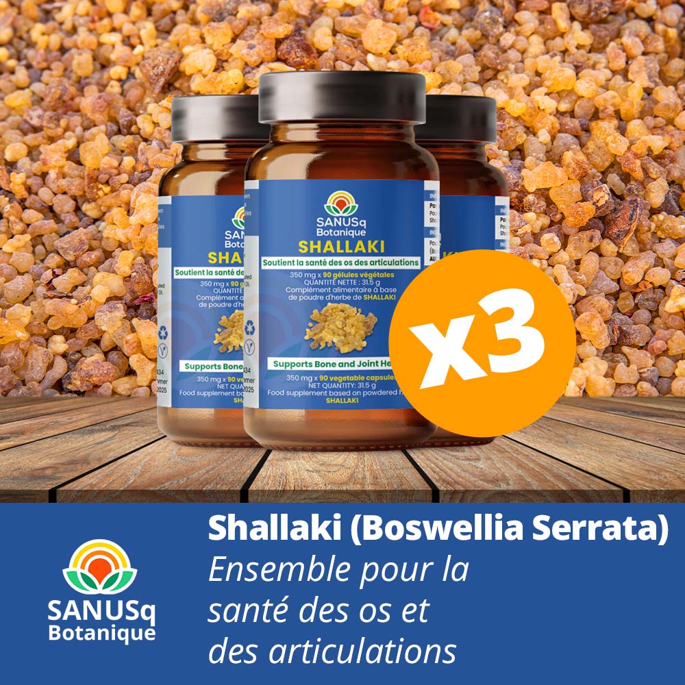 Shallaki (Boswellia Serrata) - Bone and Joint Health bundle