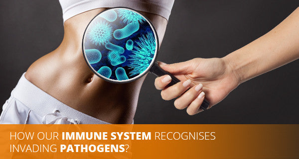 Immune system