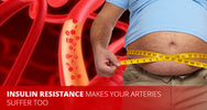Insulin resistance and endothelial health