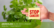 Jiaogulan and Cancer