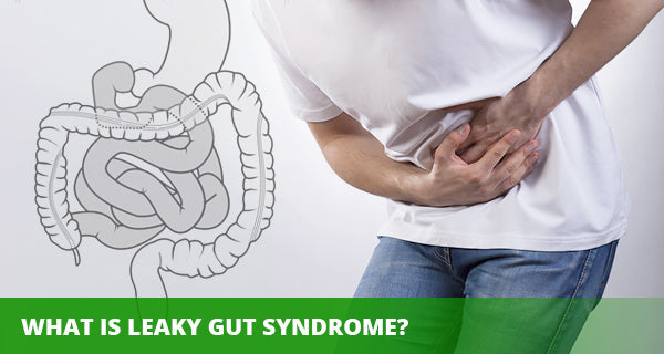 Leaky Gut Syndrome