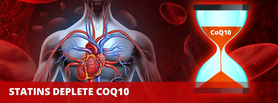 Statins deplete CoQ10 — anatomical cardiovascular system with CoQ10 hourglass and red blood cells