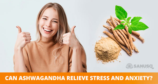 Ashwagandha and it’s anti-stress and anti-anxiety benefits