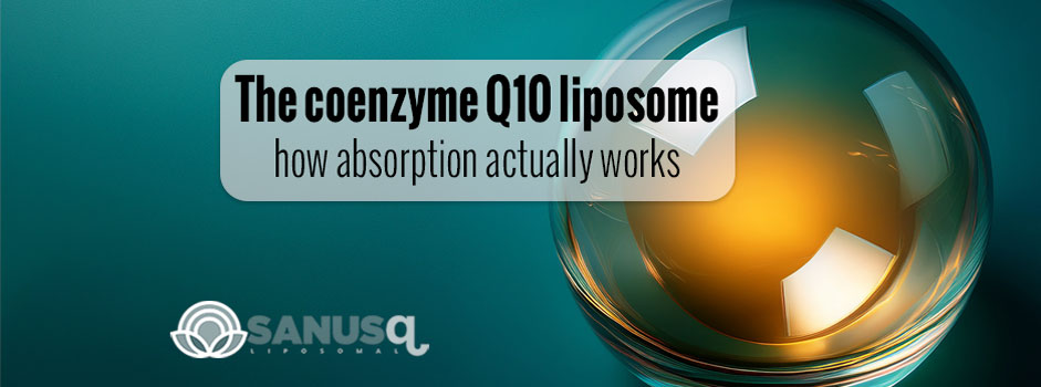Golden translucent liposome sphere on teal, illustrating coenzyme Q10 absorption