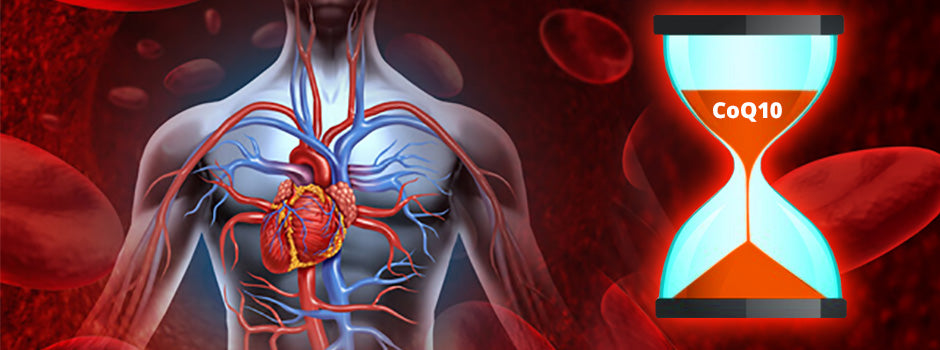 Human heart and blood vessels beside a CoQ10 hourglass running low, on statins and muscle pain by SANUSq Health