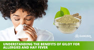 discover the amazing benefits of giloy for allergies and hayfever