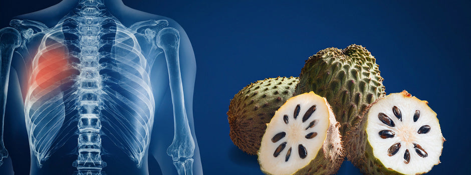 Soursop fruits cut open beside an x-ray of a human chest with a highlighted area, graviola evidence and cautions – SANUSq Health