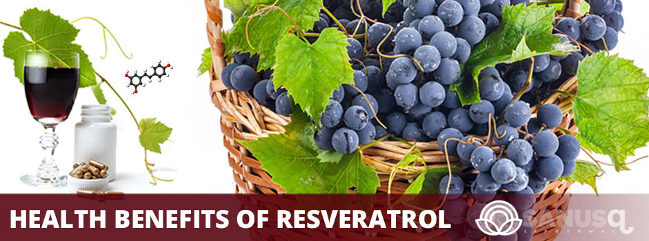 Health benefits of resveratrol – red grapes in basket, red wine glass, supplements