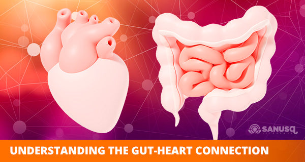 Connection between the heart and the gut health