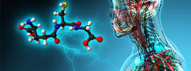 3D glutathione molecule glowing beside a human figure with visible blood vessels, from SANUSq Health on raising glutathione