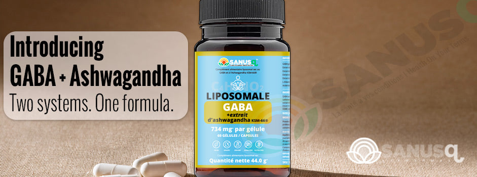 SANUSq Health compares how GABA and KSM-66 ashwagandha work together to ease stress and support mood