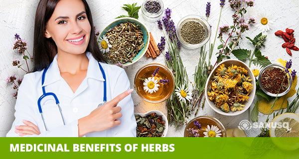 What are medicinal herbs and their benefits