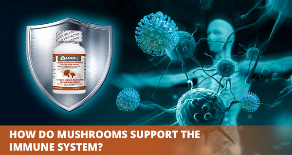 Immune boosting mushrooms