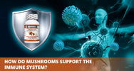 Immune boosting mushrooms