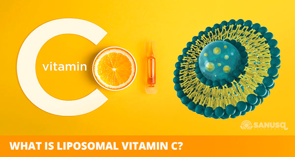Vitamin c in our overall health
