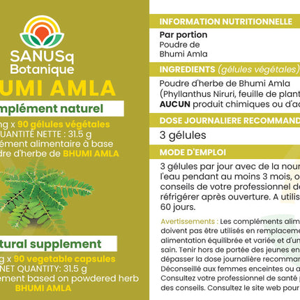 Bhumi amla phyllanthus niruri capsules