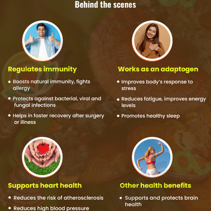 Heart and Stress bundle