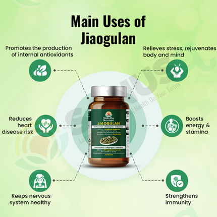 Antioxidant, adaptogen and stamina bundle