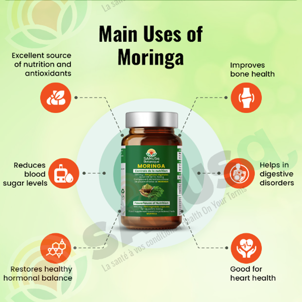 Moringa Oleifera Leaf | Powerhouse of nutrition Moringa Oleifera Leaf | Powerhouse of nutrition