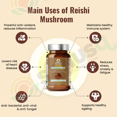 Reishi mushroom (vegetable) capsules - 300 mg | SANUSq Health