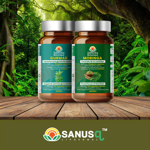 Gurmar + Moringa bundle | SANUSq Health