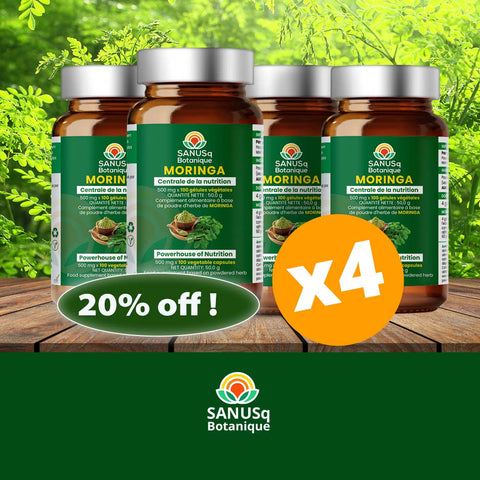 Superfood bundle | SANUSq Health