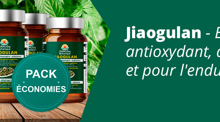 Lot de flacons SANUSq Botanique Jiaogulan, ensemble antioxydant, adaptogène et endurance — SANUSq Health