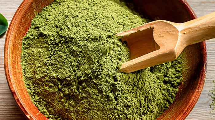 Bowl of fine green moringa leaf powder beside fresh moringa leaves on a rustic wooden table in soft daylight