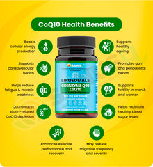 SANUSq Health Liposomal CoQ10 health benefits – energy cardiovascular ageing fertility blood sugar support