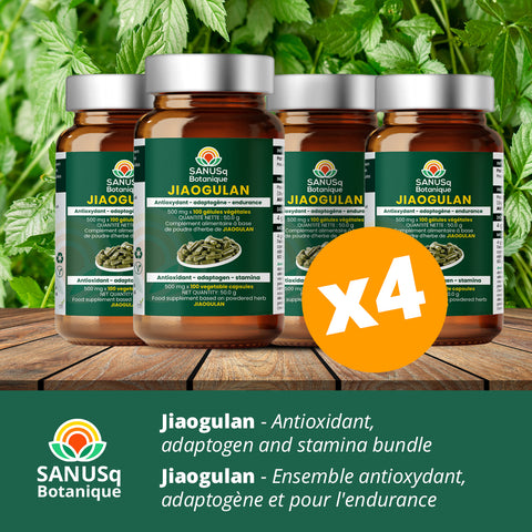 Antioxidant, adaptogen and stamina bundle | SANUSq Health