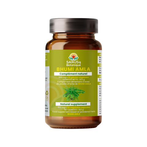 Bhumi Amla (Phyllanthus Niruri) vegetable capsules - 350 mg | SANUSq Health