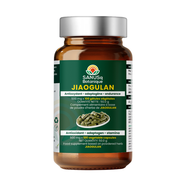 Jiaogulan herb (vegetable) capsules - 500 mg | SANUSq Health